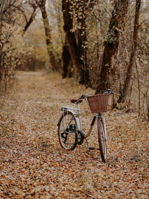 'a Serene Autumn Evening At The Countryside Of Virginia' Wallpaper