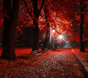 A Serene Autumn Evening By The Lake Wallpaper