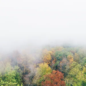 A Serene Autumn Landscape Shrouded In Fog Wallpaper