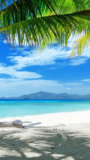 A Serene Beach Getaway Wallpaper