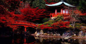 A Serene Evening In Feudal Japan Wallpaper