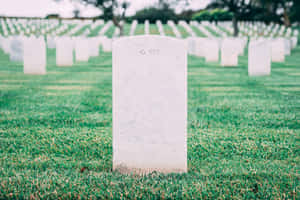 A Serene Gravestone In Nature Wallpaper