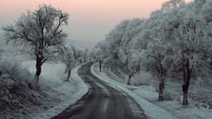 A Serene Journey Along A Snow-covered Road Wallpaper