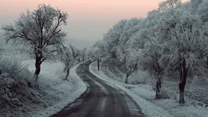 A Serene Journey Along A Snow-covered Road Wallpaper