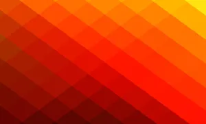 A Serene Path Through Colorful Autumn Foliage Wallpaper