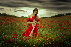 A Serene Poppy Field At Sunset Wallpaper