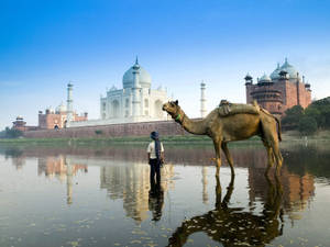 A Serene Scene Of A Mosque Overlooking A Glittering Lake Wallpaper