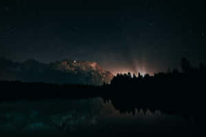 A Serene Scene Of A Night Forest Wallpaper