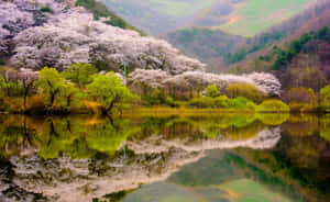 A Serene Spring Day At The Mountain Wallpaper