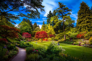 A Serene Spring Park With Lush Green Trees Wallpaper