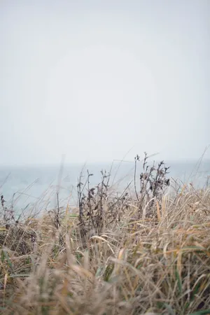 A Serene Winter Beach Landscape Wallpaper