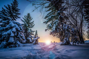 A Serene Winter Landscape Wallpaper