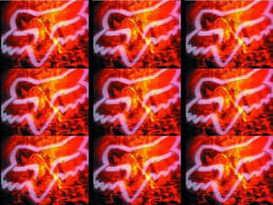 A Series Of Images Of Foxes In Red And Orange Wallpaper