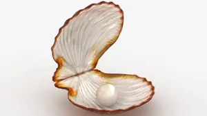 A Shiny Blue Clam Shell Glistening In The Sunlight. Wallpaper