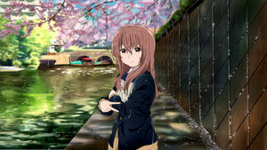 A Silent Voice - Shouko At The Creek Wallpaper