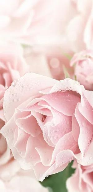 A Silhouette Of A Man Against A Backdrop Of A Gorgeous Night Sky Wallpaper