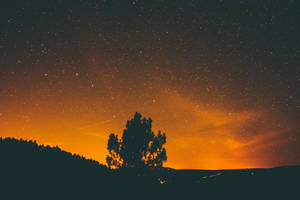 A Silhouetted Tree At A Tranquil Night Sky Wallpaper