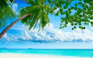 A Simply Stunning Tropical Beach Scene With Beach Cabanas, Palm Trees, And Crystal Blue Water. Wallpaper