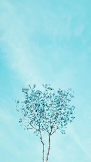 A Single Tree In The Middle Of A Field Wallpaper