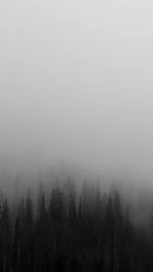 A Sleek And Modern Look With A White Minimalist Iphone Wallpaper