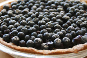 A Slice Of Art - Fresh Blueberry Pie Wallpaper