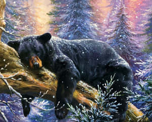 A Slumbering Bear In Its Cave During Hibernation Wallpaper