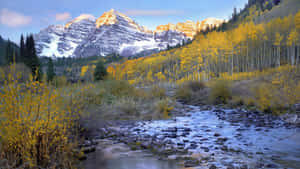 A Snow-covered Mountain Peak Seen Under A Clear Blue Sky, Colorado Wallpaper