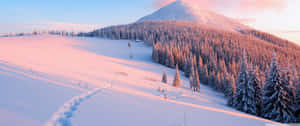 A Snow Covered Mountain With Trees And A Path Wallpaper