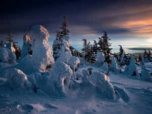 A Snow Covered Mountain With Trees At Sunset Wallpaper