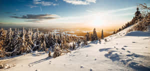 A Snow Covered Mountain With Trees In The Background Wallpaper