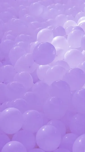A Softly Beautiful Lilac Color. Wallpaper
