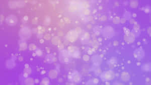 A Solid Light Purple Wallpaper Wallpaper