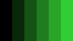 A Soothing Green Gradient Background Wallpaper