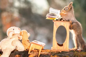 A Spectacular Nighttime Cityscape Wallpaper