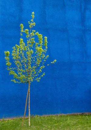 A Stone Arch Gateway Against The Backdrop Of A Bright Blue Sky Wallpaper