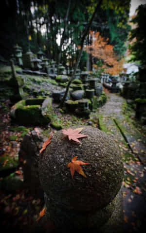 A Stone Pillar With Leaves On It Wallpaper