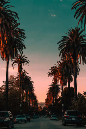 A Street With Palm Trees Wallpaper