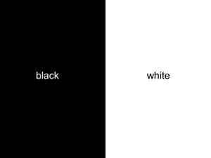 A Striking Contrast Between Half Black And Half White Backgrounds Wallpaper