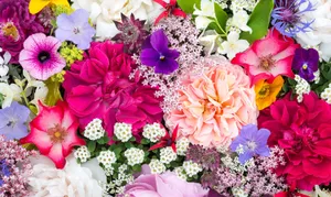 A Stunning Display Of Fall Flowers In Full Bloom Wallpaper