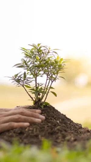 A Stunning Evening View Of A Cityscape With The Sky Bridging Day And Night Wallpaper
