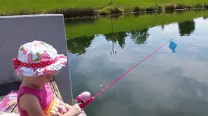 A Stunning Fishing Rod Casting Out At Sunset Wallpaper