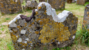 A Stunning Gravestone Surrounded By Nature Wallpaper