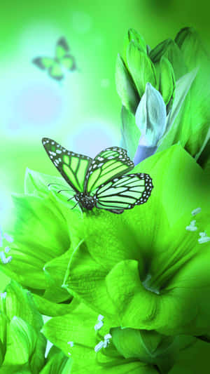 A Stunning Green Butterfly Wallpaper