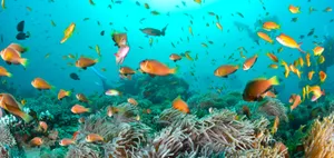 A Stunning Orange Sky Backdrop With A Slice Of The Blue Sky Peeking Through Wallpaper