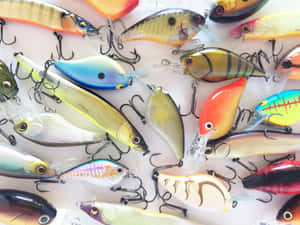 A Stunning Variety Of Fishing Baits Wallpaper