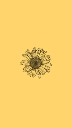 A Sunflower On A Yellow Background Wallpaper