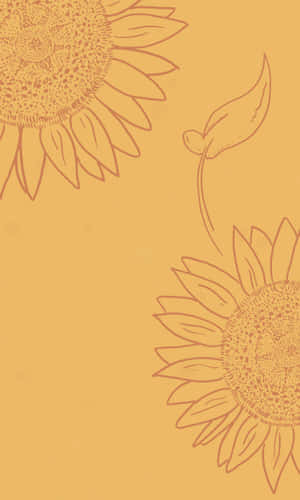 A Sunny Sunflower In Shades Of Bright Yellow Brightening Up The Day Wallpaper