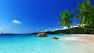 A Sunset That Marks The Start Of A Beautiful Summer Wallpaper