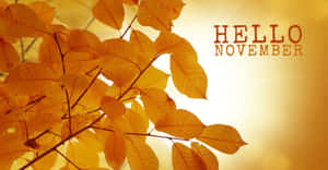 'a Sweet November Day!' Wallpaper