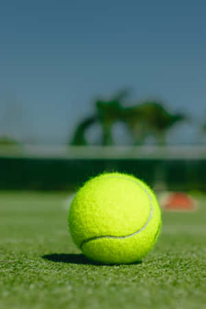 A Tennis Ball On A Tennis Court Wallpaper